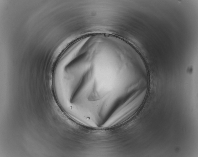 X0000112461188200909071102