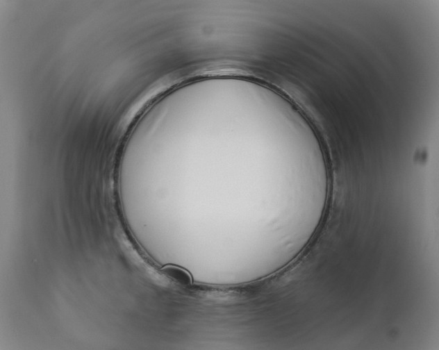 X0000112461189200909071102