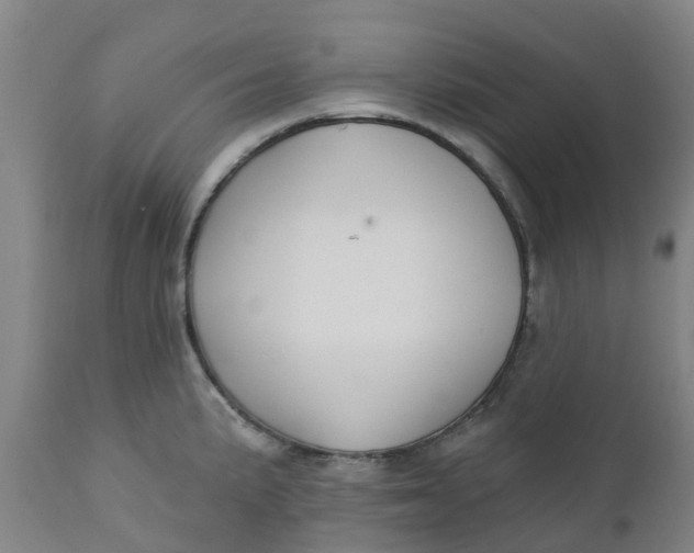 X0000112461191200909071102