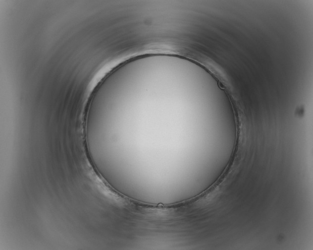 X0000112461192200909071102