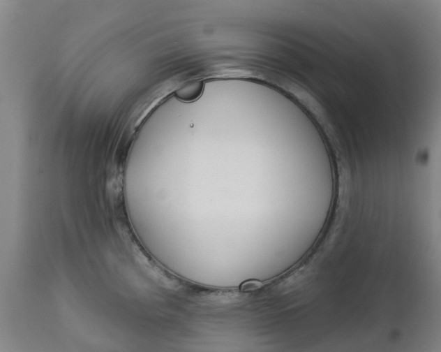 X0000112461193200909071102