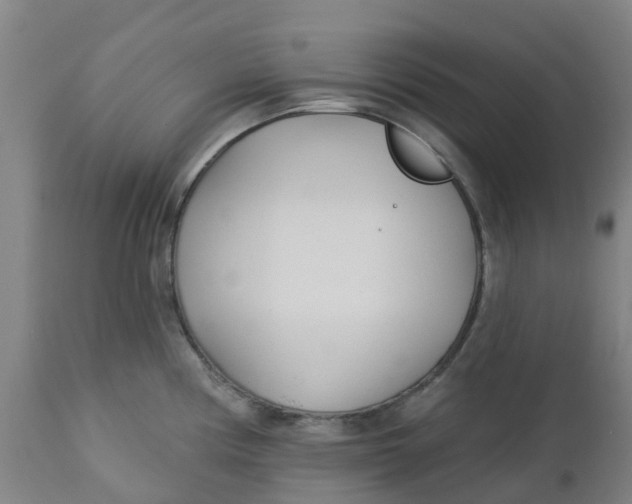 X0000112461194200909071102