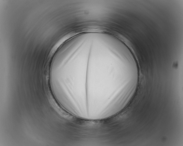 X0000112461195200909071102