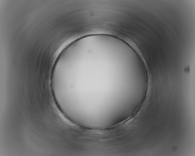 X0000112461197200909071102