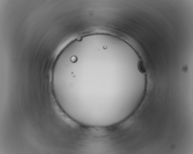 X0000112461198200909071102