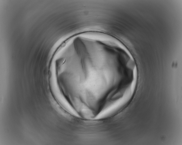 X0000112461200200909071102