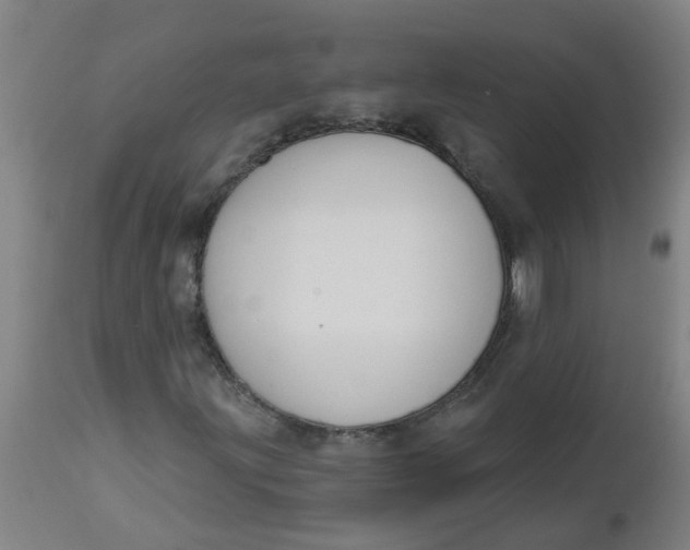 X0000112461203200909071102