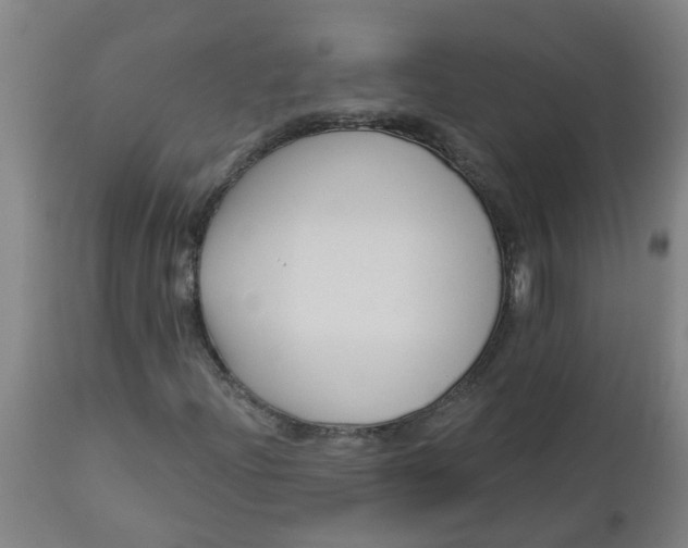 X0000112461204200909071102