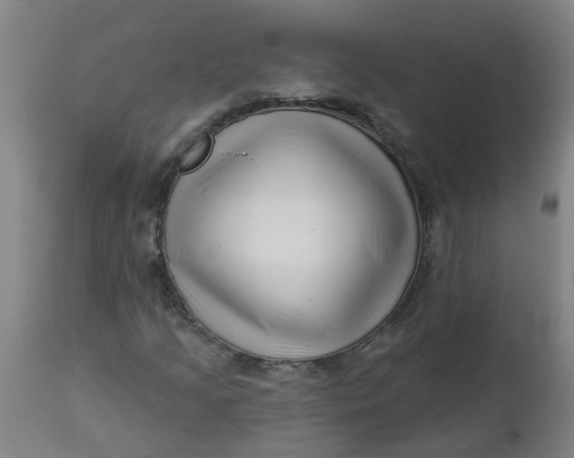 X0000112461205200909071102