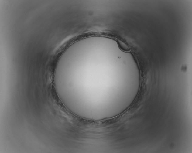 X0000112461206200909071102