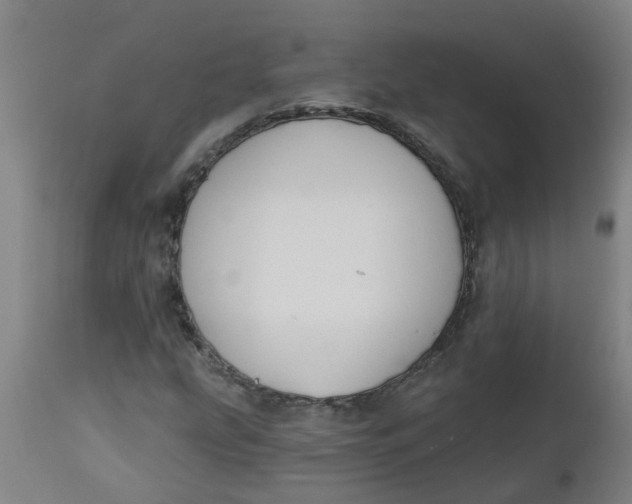 X0000112461207200909071102