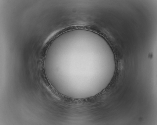 X0000112461208200909071102