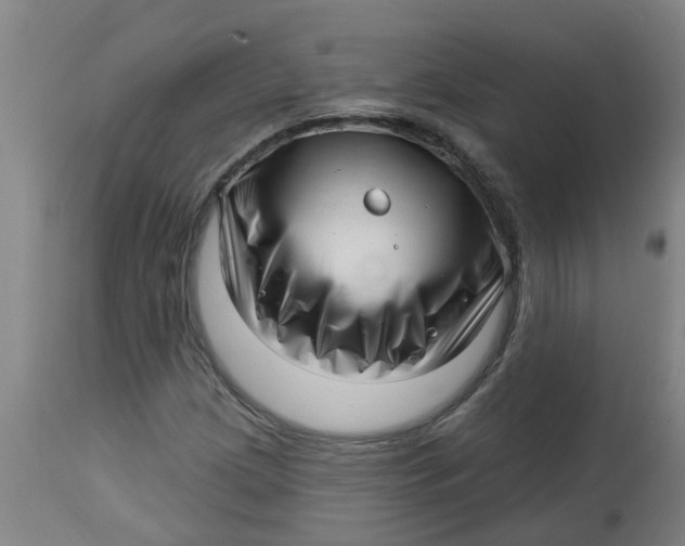 X0000112461209200909071102