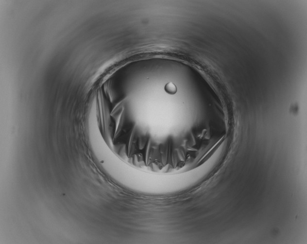 X0000112461210200909071102