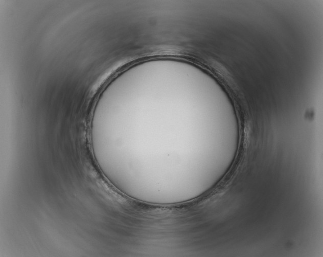 X0000112461212200909071102