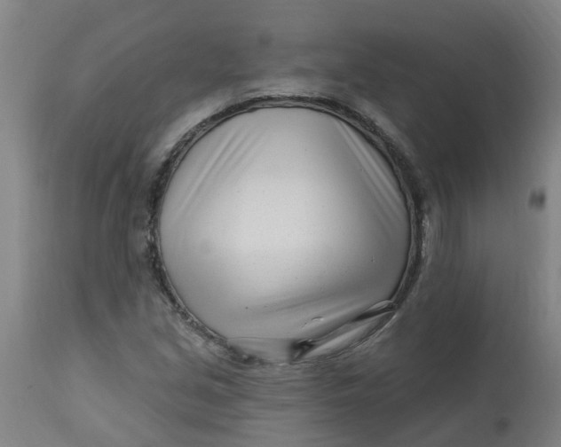 X0000112461213200909071102