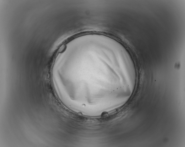 X0000112461215200909071102