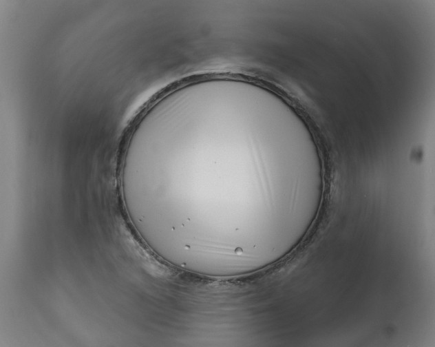 X0000112461216200909071102