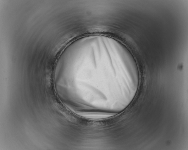 X0000112461217200909071102