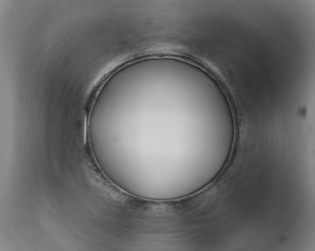 X0000112461219200909071102