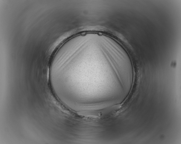 X0000112461221200909071102