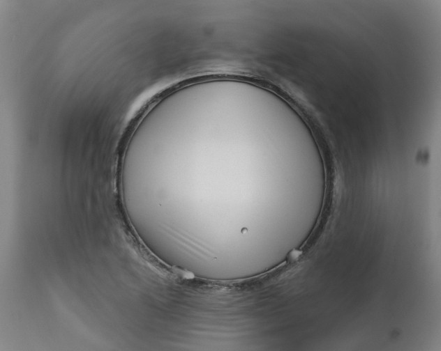 X0000112461222200909071102