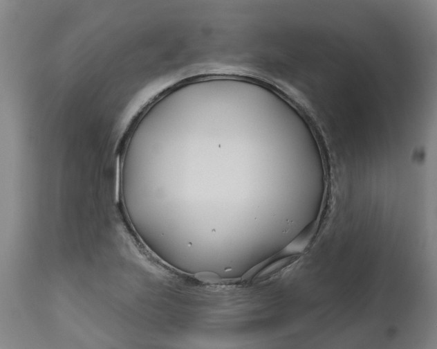 X0000112461223200909071102