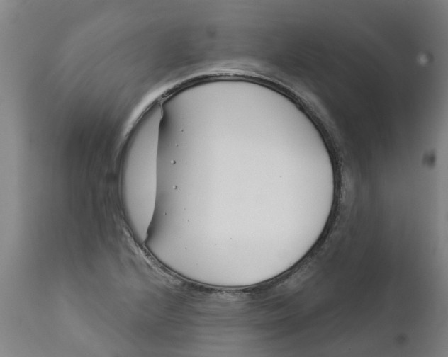 X0000112461224200909071102