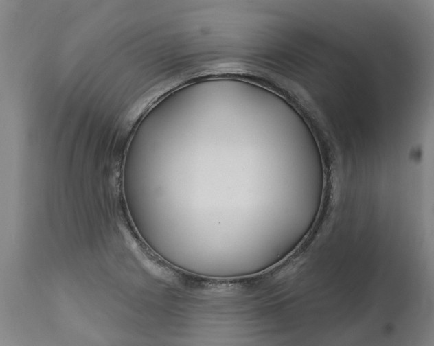 X0000112461225200909071102