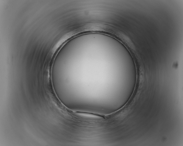 X0000112461226200909071102