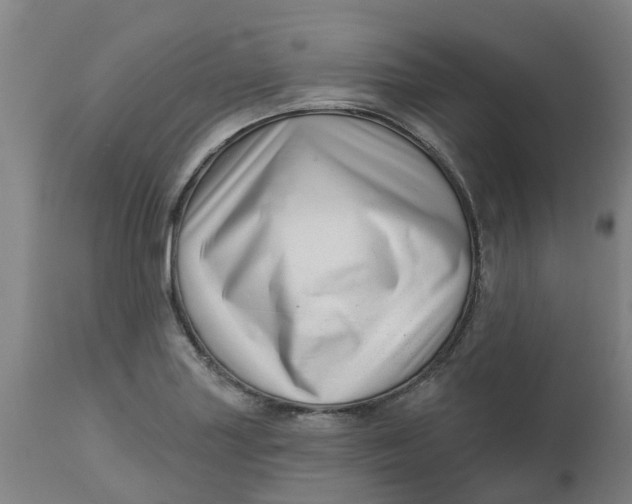 X0000112461227200909071102