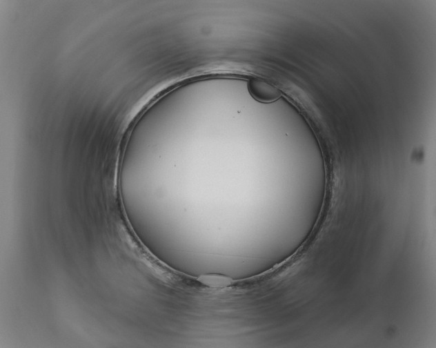 X0000112461228200909071102