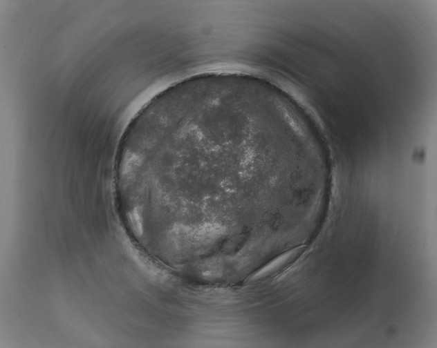 X0000112461229200909071102