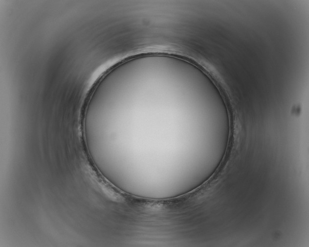 X0000112461230200909071102