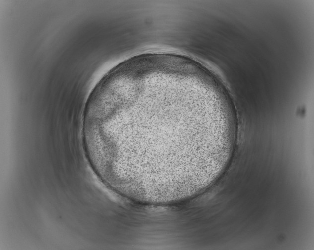 X0000112461231200909071102