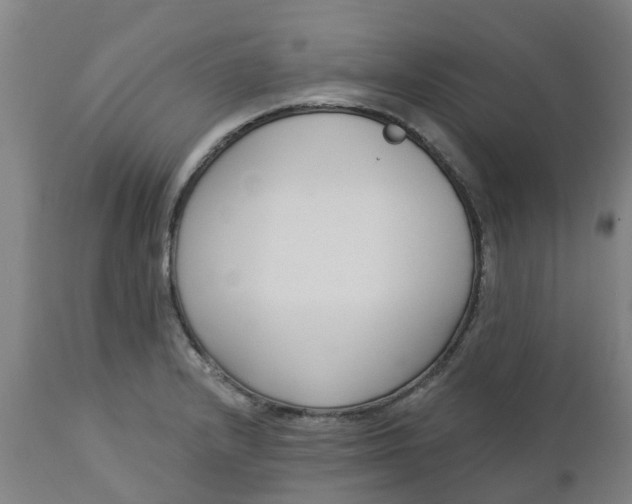 X0000112461232200909071102