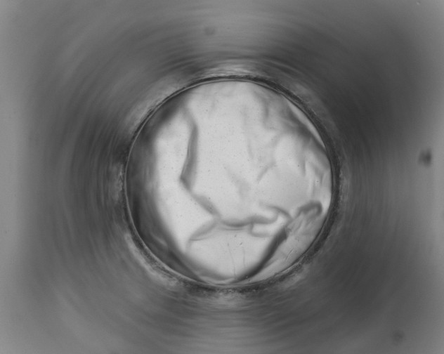 X0000112461233200909071102