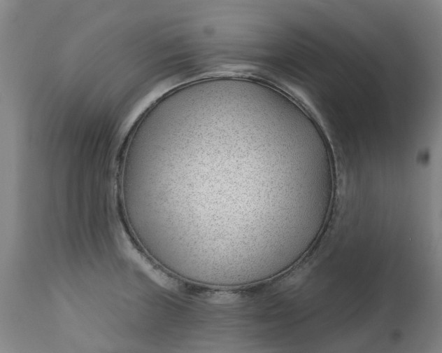 X0000112461235200909071102