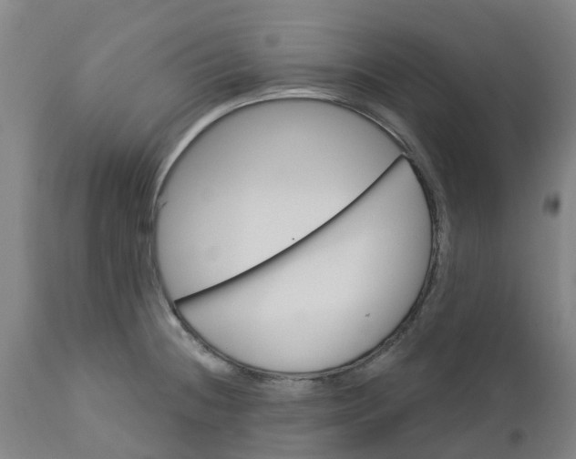 X0000112461236200909071102