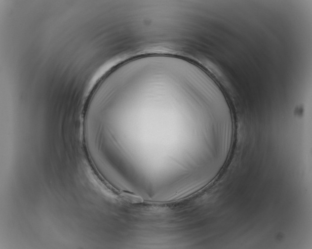 X0000112461238200909071102