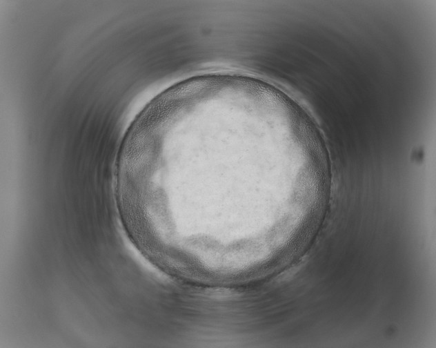 X0000112461239200909071102