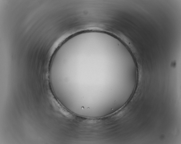 X0000112461240200909071102