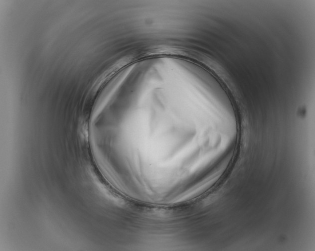 X0000112461241200909071102