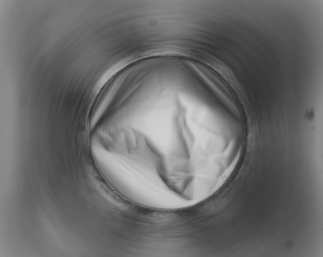 X0000112461242200909071102