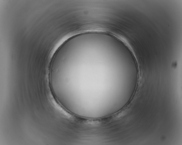 X0000112461243200909071102