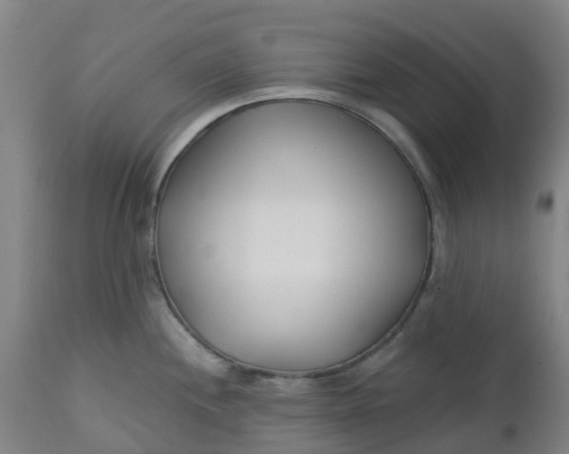 X0000112461244200909071102