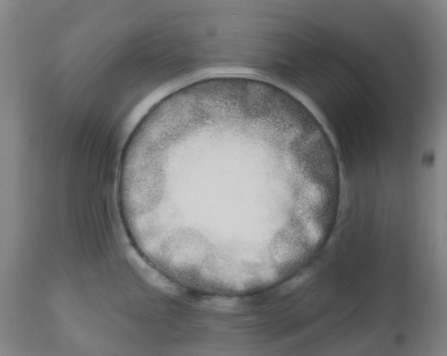 X0000112461245200909071102