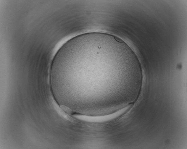 X0000112461246200909071102