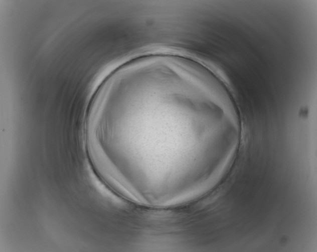 X0000112461247200909071102