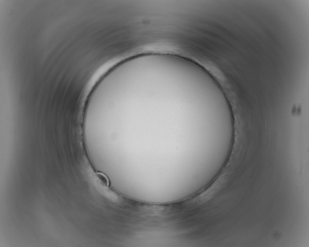 X0000112461248200909071102